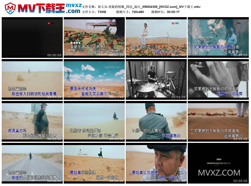 徐大乐-奎妮的情歌_国语_流行_MB502359